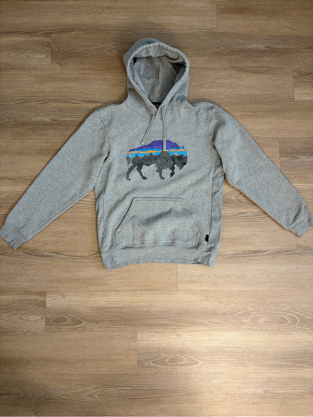 Patagonia Bison Hoodie size S Men